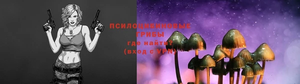 первитин Осинники