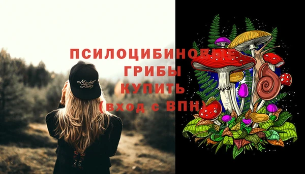 спайс Пестово