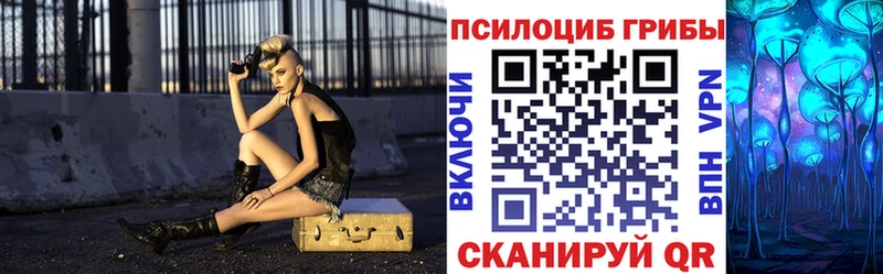 Псилоцибиновые грибы Cubensis  Константиновск 